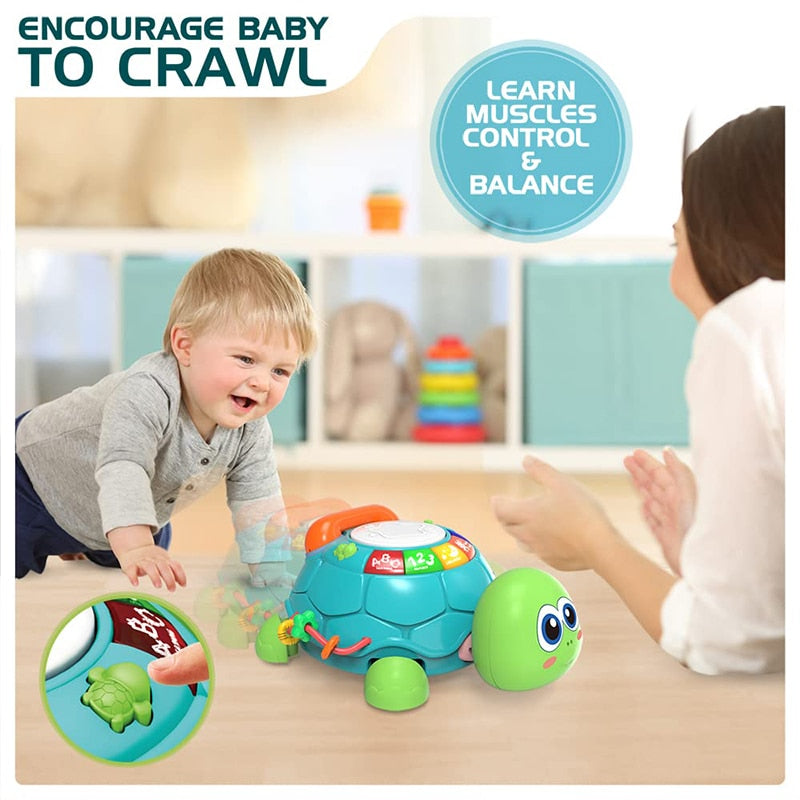 Music Turtle Crawling toy